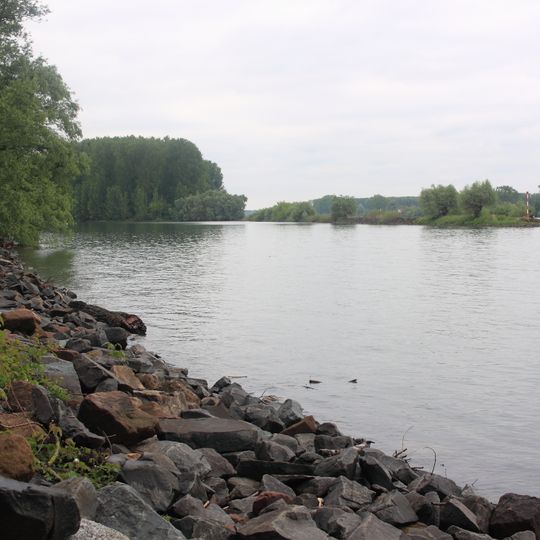 Stockstadt-Erfelder Altrhein