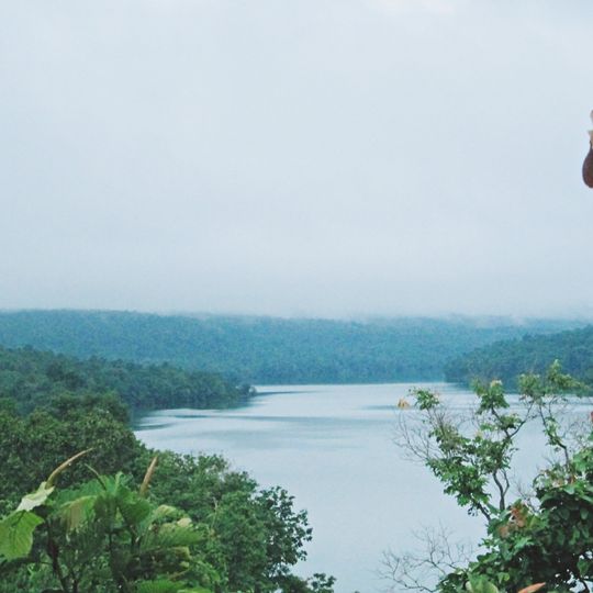 Parc national de Phu Pha Yon