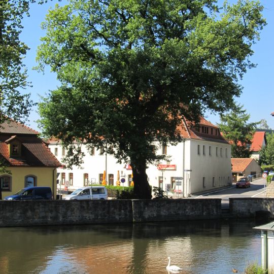 Luthereiche mit Gedenkstein und Einfriedung