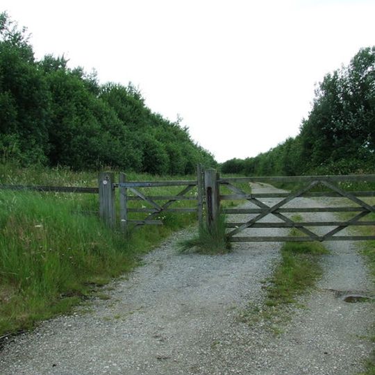 Trimley Marshes