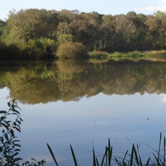 Naturschutzgebiet Gemeindesee von Langsdorf