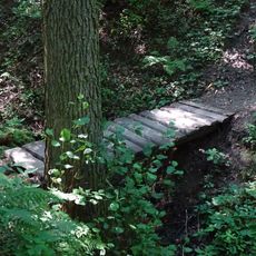 Lávka přes potůček pod zříceninou Libštejn