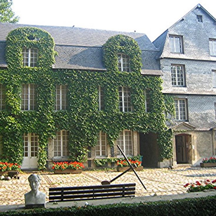 Musée de l'Ancien Havre