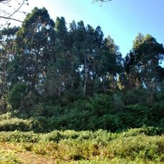 Castro de Vilasanche