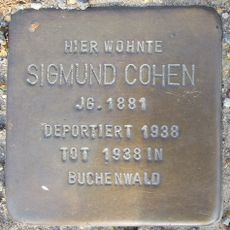 Sigmund Cohen