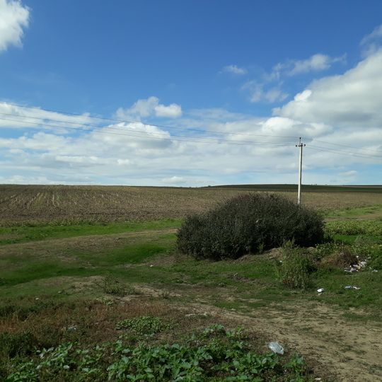 Burghelea II settlement