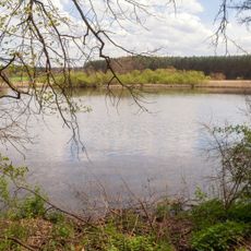 Feuchtbiotope bei Oberhembach