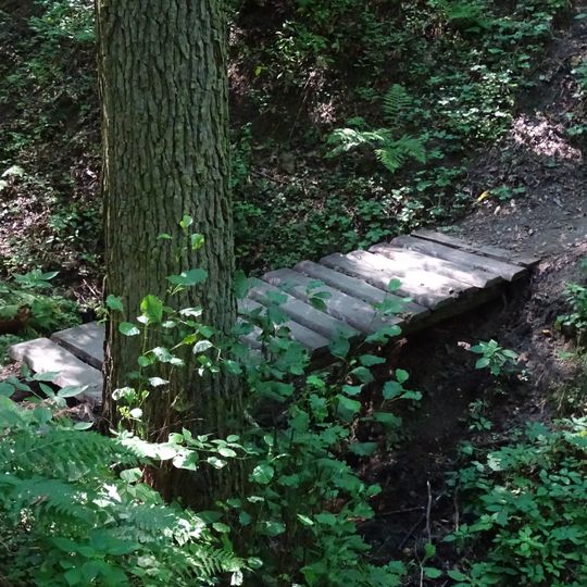 Lávka přes potůček pod zříceninou Libštejn