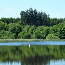 Wälder bei Biberach