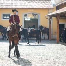 Portuguese School of Equestrian Art