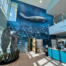 Manatee Lagoon