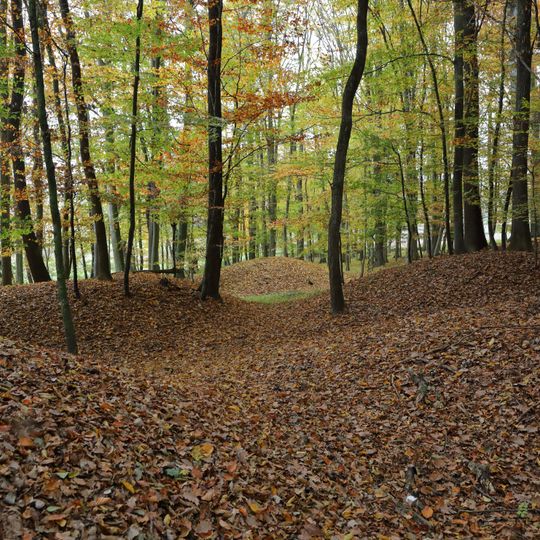 Tumuli "Groessinger Tanner"