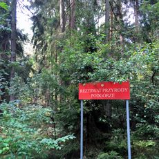 Rezerwat przyrody Podgórze