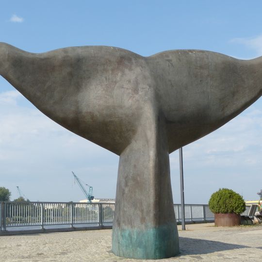 Vegesacker Wal-Schwanzflosse