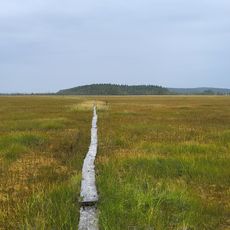 Koivusuo Strict Nature Reserve