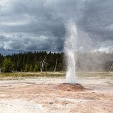 Pink Cone Geyser
