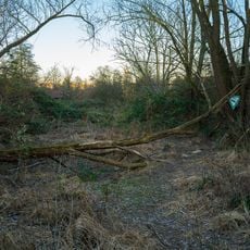 Feuchtflächen u.Gehölze im Gebiet der Hartwiesen