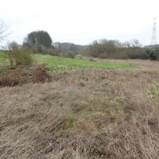 Birch Spinney and Mawsley Marsh