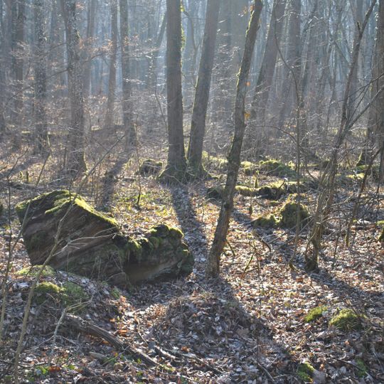 Naturwaldreservat Wolfsee