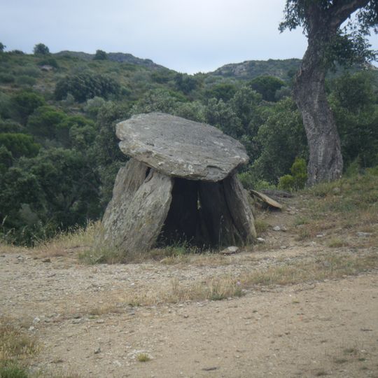 Dolmen del Cap de l’Home