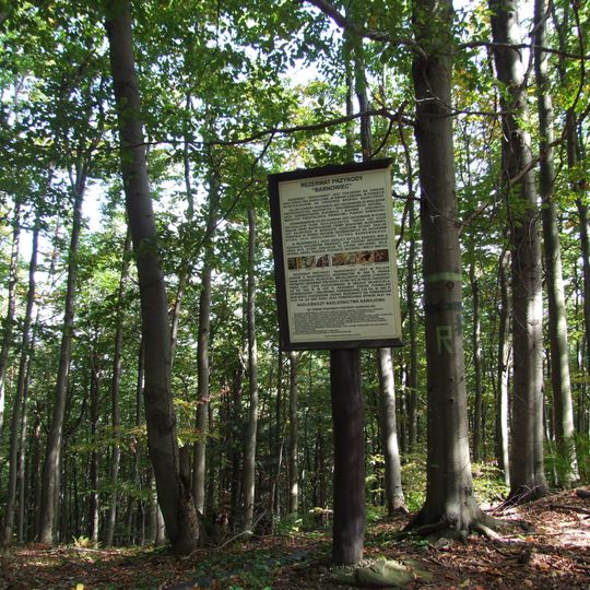 Rezerwat przyrody Barnowiec