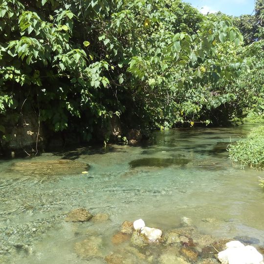 Bonegi river spring
