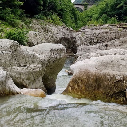 Forre del Titerno