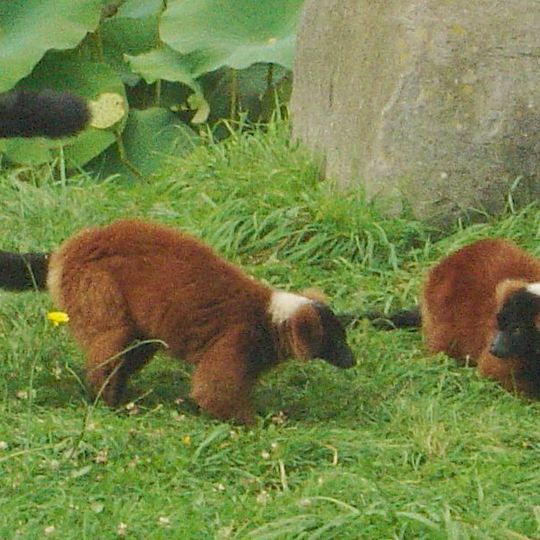 Zoo de la Bourbansais