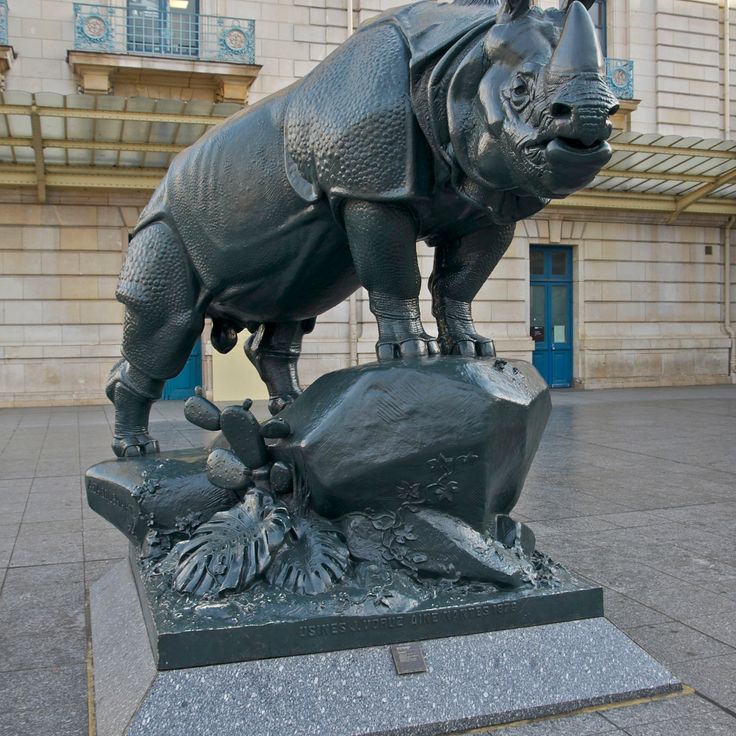 Rhinoceros