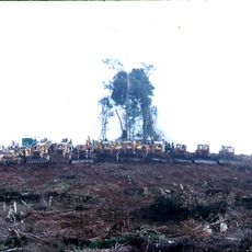 Omo Forest Reserve