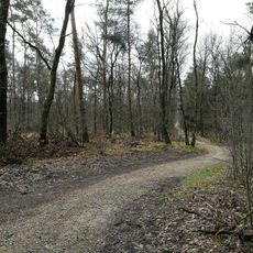 NSG Luentener Wald