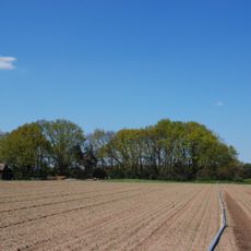 Düne Stahlberg II