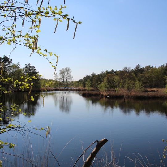 Fintlandsmoor und Dänikhorster Moor
