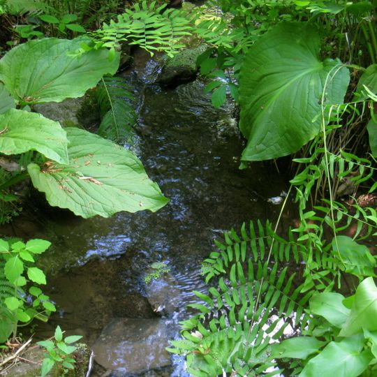 Reserva de flora silvestre de Bowman´s Hill