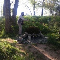 Moss Turtle Sculpture