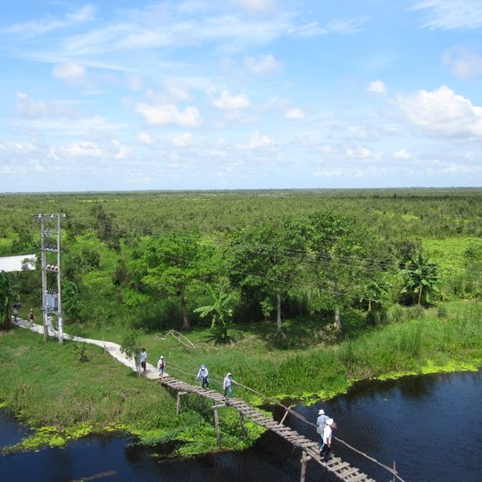U Minh Thuong National Park