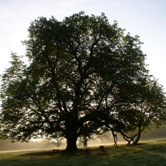 Dún na Rí Forest Park