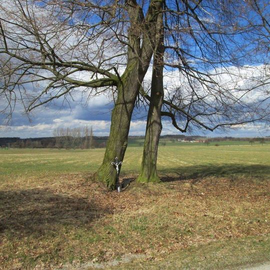 Kříž mezi Bzí a Modrou Hůrkou