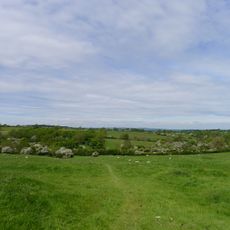 Moated site and deserted medieval village at Old Ingarsby
