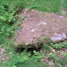 Cist and associated mound in Langridge Wood, 410m north west of Treborough Lodge