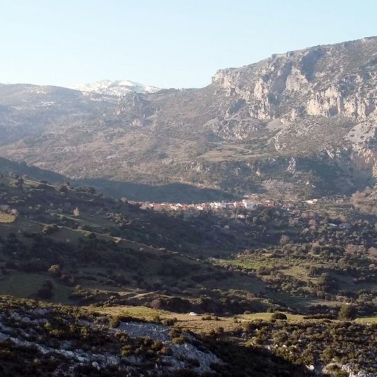 Manikia