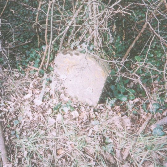 Milestone, opp. Hishbrooks Farm, W of Catsgore