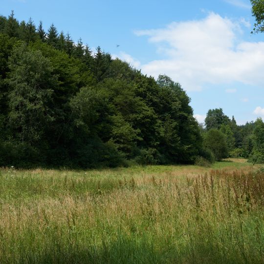 Quellenhang im Schweizerbachtal