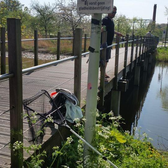 Maria Sibylla Merianbrug
