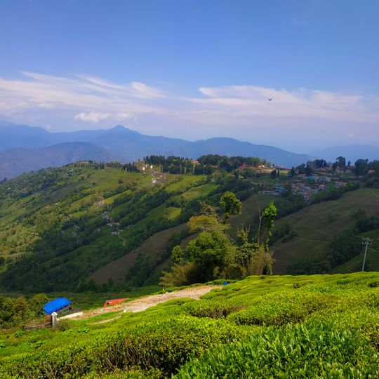 Distretto di Darjeeling