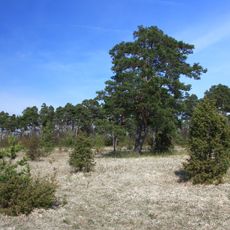 Heide an der Kaiserstraße