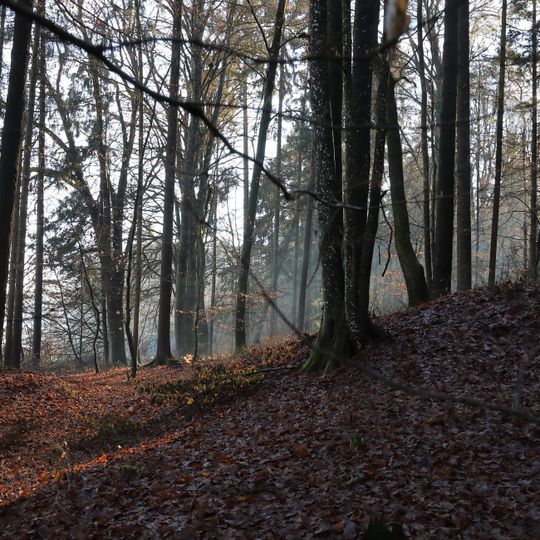 Barrow cemetery Silberberg