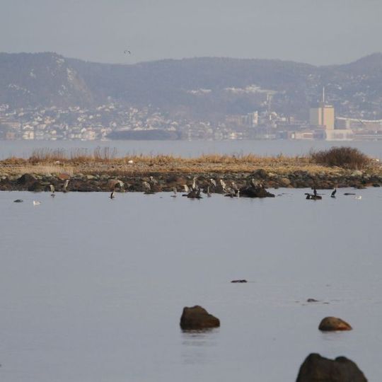 Réserve naturelle de Vealøs