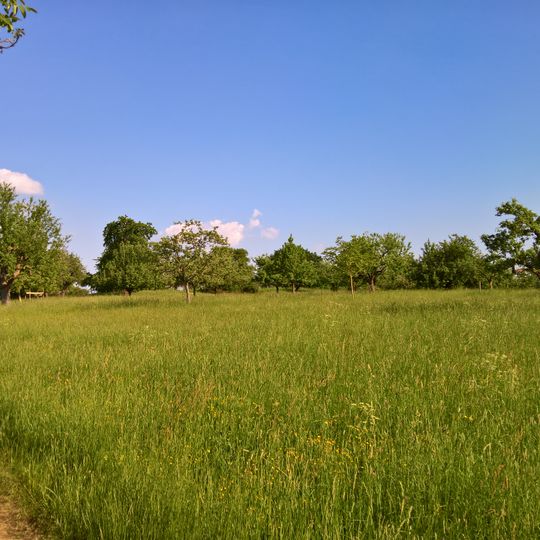 Wingertsberg von Langstadt