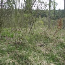 Lesní Jakubov Castle